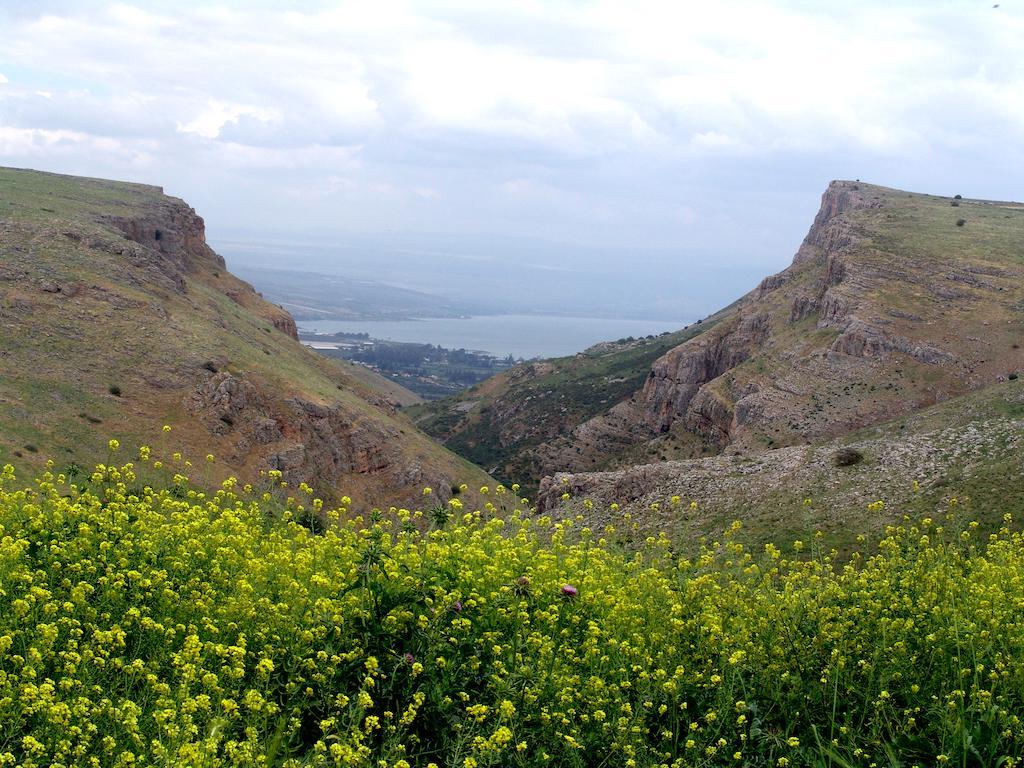 Arbel Holiday Homes エクステリア 写真
